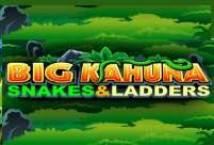 Big Kahuna Snakes and Ladders