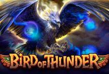 Bird of Thunder