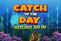 Catch of the Day: Reelin' Em In
