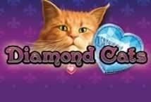 Diamond Cats