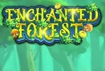 Enchanted Forest