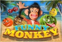 Funny Monkey