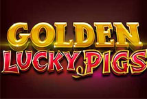 Golden Lucky Pigs