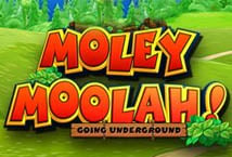 Moley Moolah