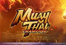 Muay Thai Champion