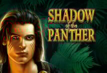 Shadow of the Panther