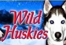 Wild Huskies