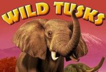 Wild Tusks