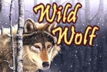 Wild Wolf