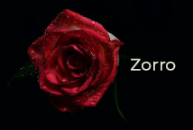 Zorro